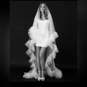 Cathedral length ivory veil